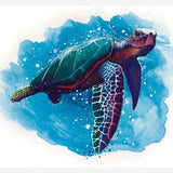 Cuadro TORTUGA DE MAR