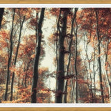 Cuadro Bosque de otoño