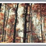 Cuadro Bosque de otoño