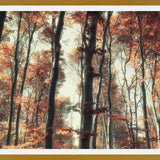 Cuadro Bosque de otoño