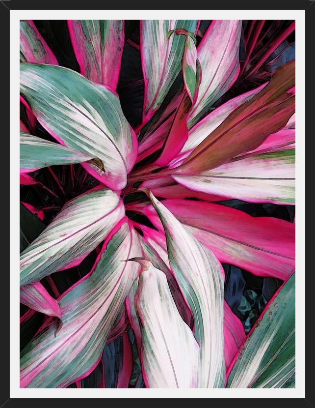 Cuadro Exotic