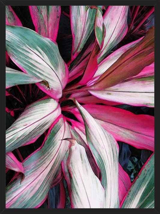 Cuadro Exotic