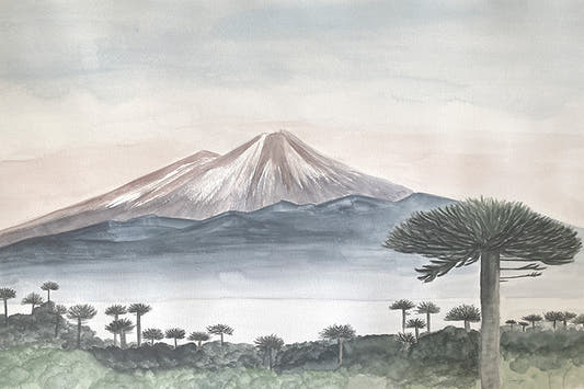 Papel Mural Volcán Llaima