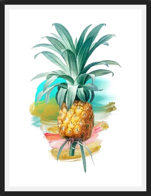 Cuadro The Pineapple