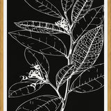 Cuadro LEAVES IN LINE - BLACK
