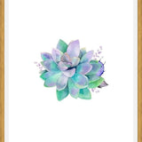 Cuadro Watercolor Purple Succulent
