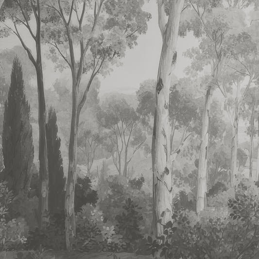 Papel Mural Dosel I Blanco y Negro