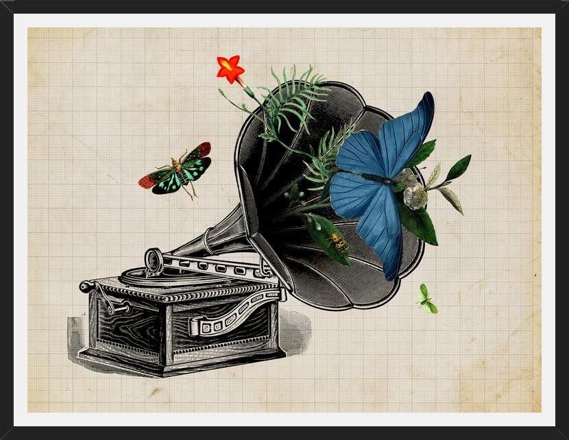 Cuadro Gramophone Vintage