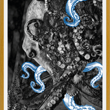Cuadro pulpo
