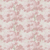 Papel Mural Hazel Rosa