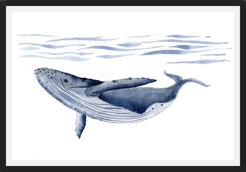 Cuadro Ballena