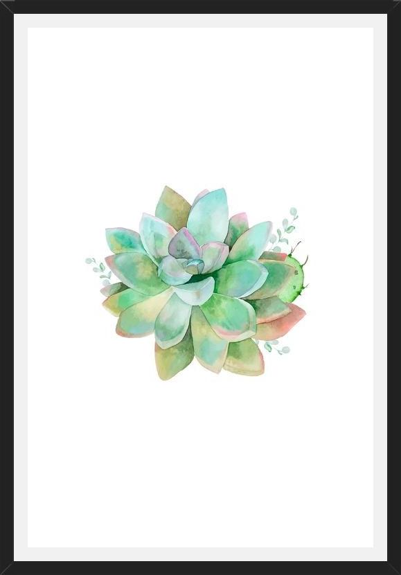 Cuadro Watercolor Green Succulent