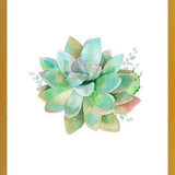 Cuadro Watercolor Green Succulent