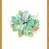 Cuadro Watercolor Green Succulent