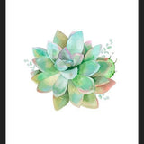 Cuadro Watercolor Green Succulent