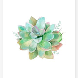 Cuadro Watercolor Green Succulent