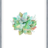 Cuadro Watercolor Green Succulent