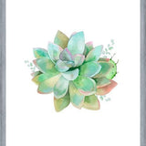 Cuadro Watercolor Green Succulent