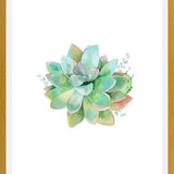 Cuadro Watercolor Green Succulent