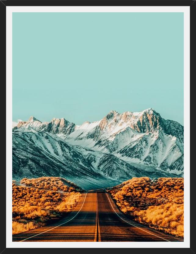 Cuadro The Road Less Traveled