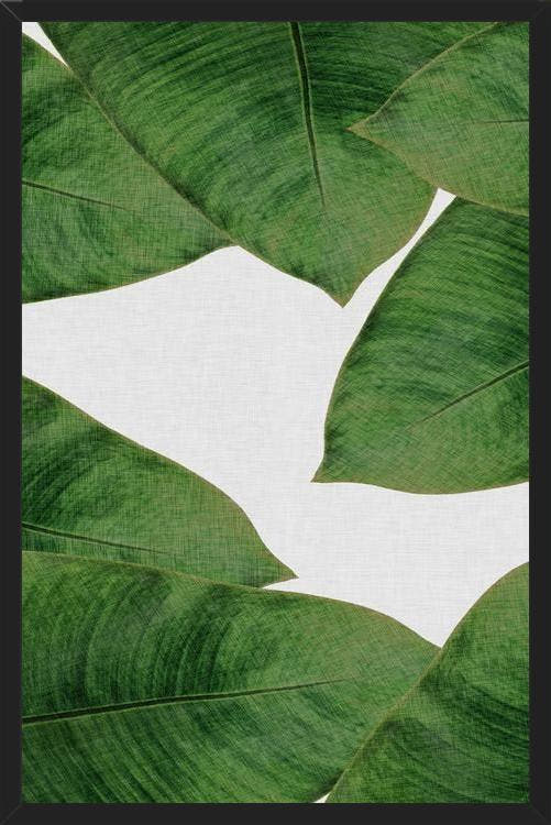 Cuadro Banana Leaf II