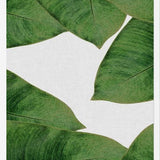 Cuadro Banana Leaf II