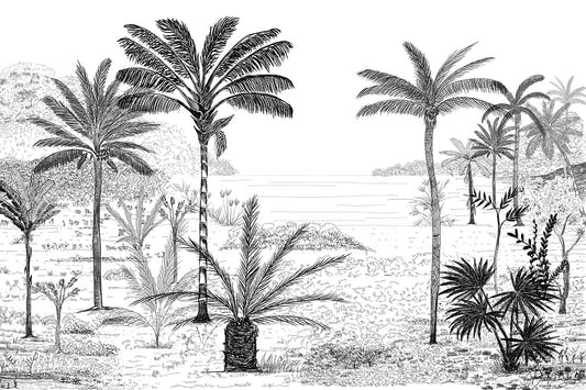Papel Mural Palmeras