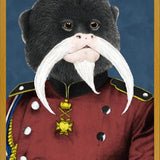 Cuadro Titi emperador