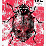 Cuadro BUGS #2