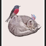 Cuadro Sleeping cats