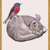 Cuadro Sleeping cats