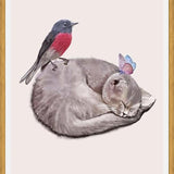 Cuadro Sleeping cats