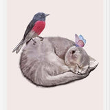 Cuadro Sleeping cats