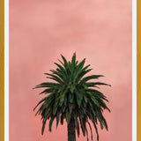 Cuadro Pink Palm