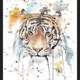 Cuadro Retrato de un Tigre