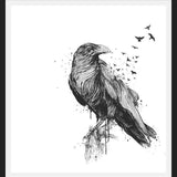 Cuadro Born to be free (bw)