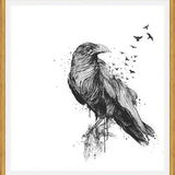 Cuadro Born to be free (bw)