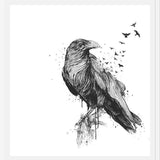 Cuadro Born to be free (bw)