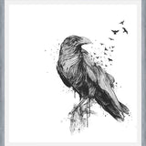 Cuadro Born to be free (bw)