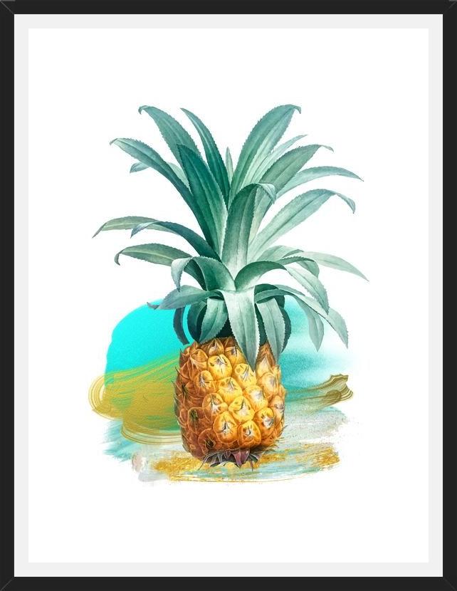 Cuadro The Pineapple II