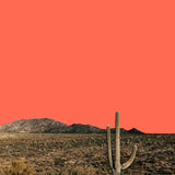 Canvas mexico