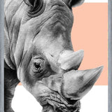 Cuadro Rinoceronte en damasco