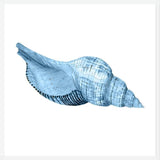 Cuadro Concha azul 1