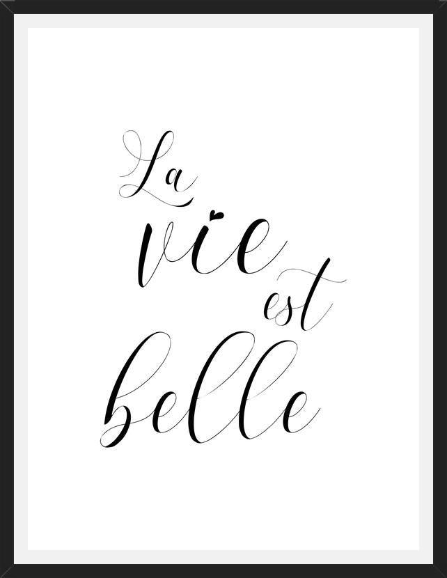 Cuadro La vie est belle