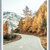Cuadro Snow and Golden Pine