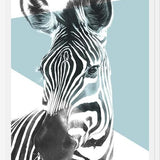 Cuadro cebra en celeste