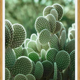Cuadro The Cacti Cactus