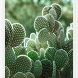 Cuadro The Cacti Cactus