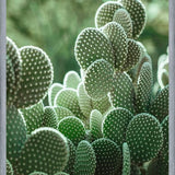 Cuadro The Cacti Cactus