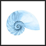 Cuadro Concha azul 4